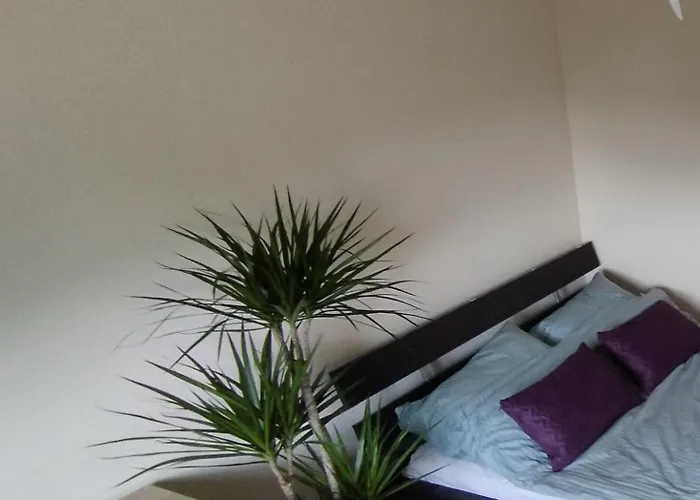 A8 Orlowo Apartman *