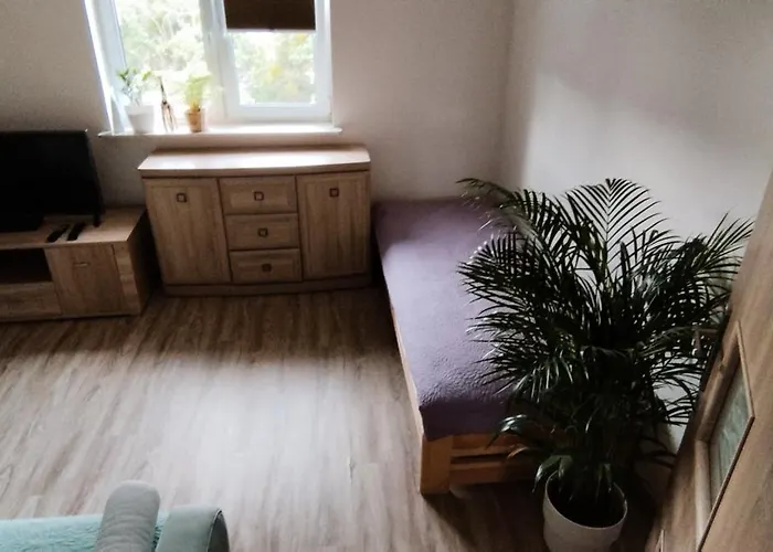 Apartman A8 Orlowo *